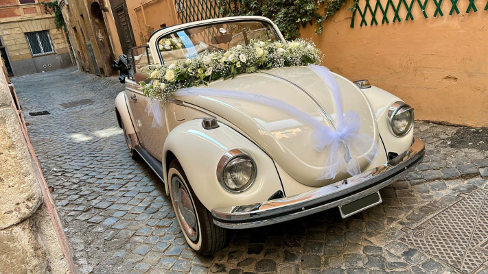 MAGGIOLONE BIANCO_1975 (3)
