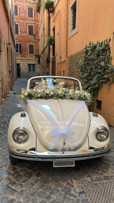 MAGGIOLONE BIANCO_1975 (4)