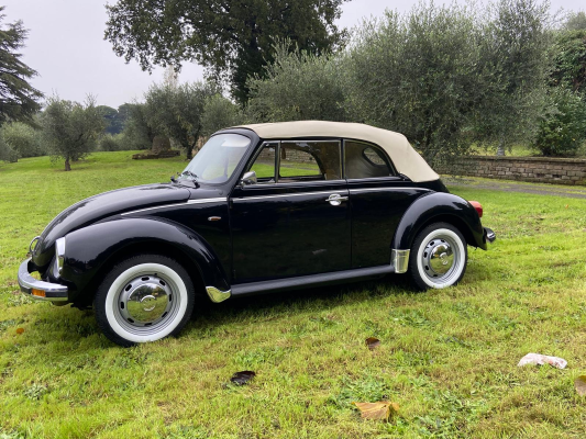 MAGGIOLONE NERO_1976 (2)