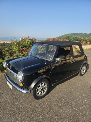 MINI CABRIOLET_1984 (3)